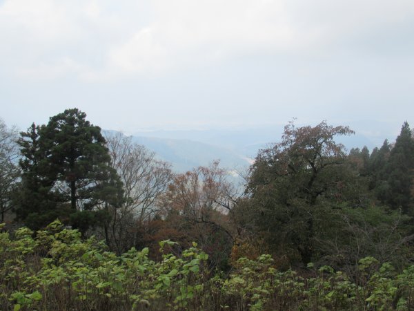 登山道